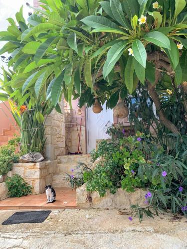 Traditional Apartment With Large Garden Near Beach