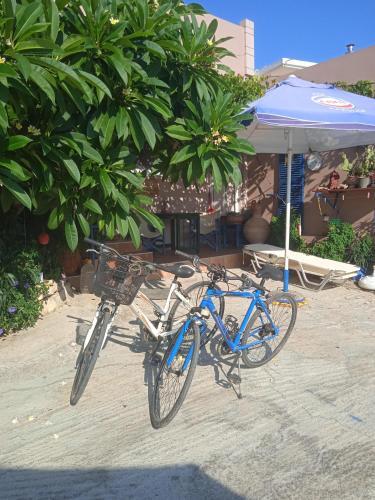 Traditional Apartment With Large Garden Near Beach