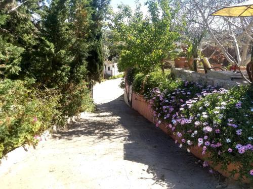 Traditional Apartment With Large Garden Near Beach
