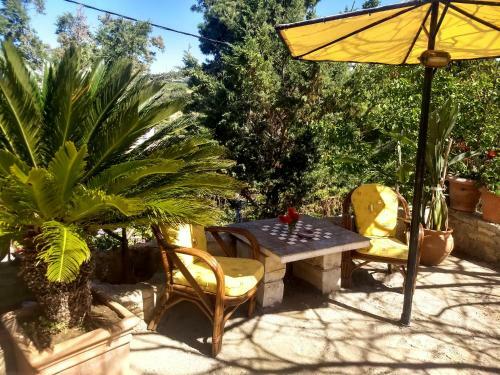 Traditional Apartment With Large Garden Near Beach
