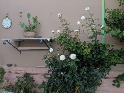 Traditional Apartment With Large Garden Near Beach