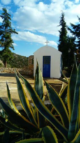 Apartamento Nisia