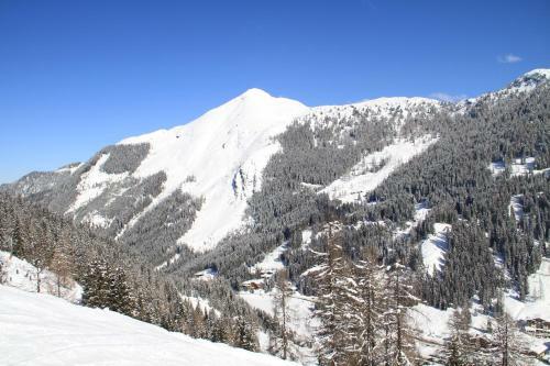 Apartamento Jagdhaus Am Zauchensee