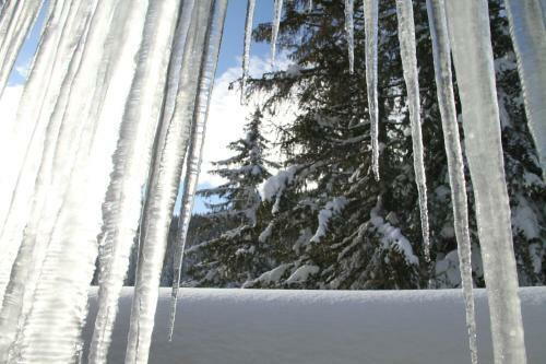 Apartamento Alpen Appartements