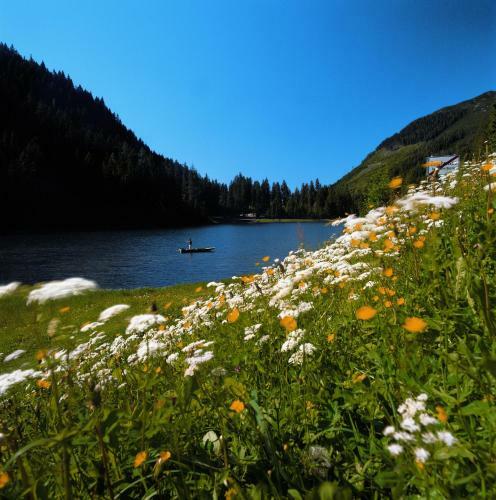 Apartamento Alpen Appartements