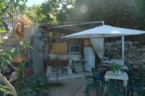 Katerina's