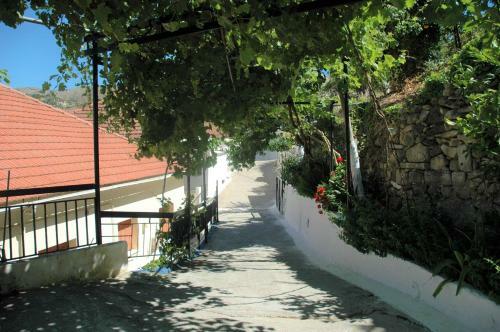 Katerina's