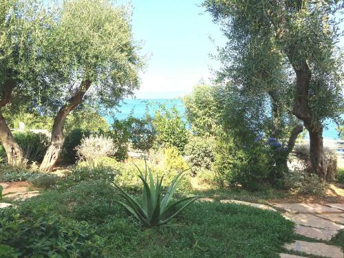 Villa Dinos