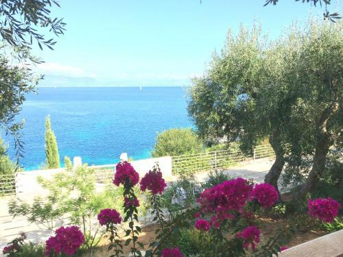 Villa Dinos