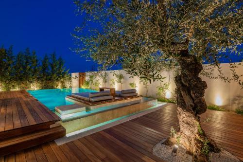 Oresteia Executive Villa, A Flamboyant Retreat