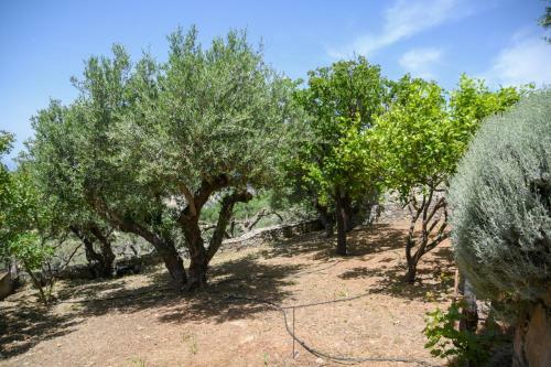 Cretan Paradise Villa - Private Pool