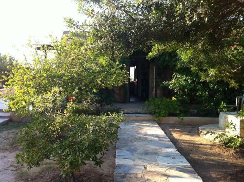 Aigina 3 Bedroom House By The Sea