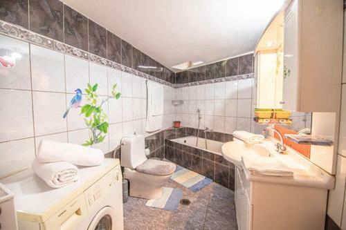 Apartamento Traditional Family Guest House Idi