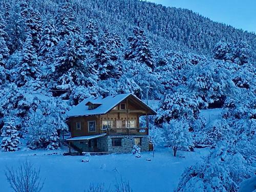 Vytina Log House