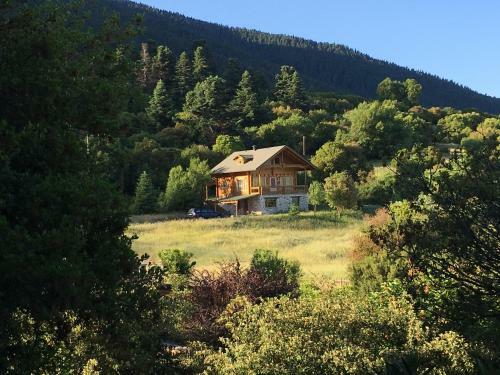 Vytina Log House