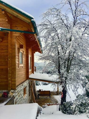 Vytina Log House