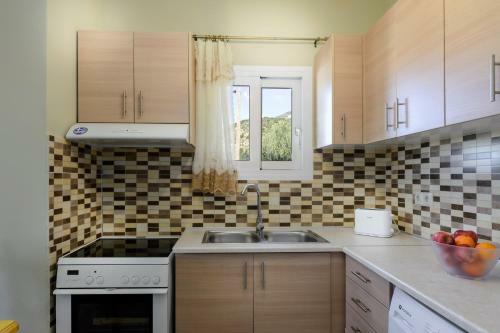 Nikos & Vassilis Apartments Kefalonia