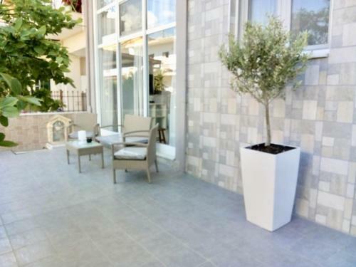 Vonitsa Apartment 2