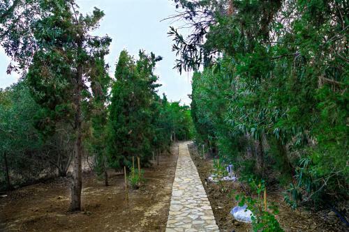 Magic Path
