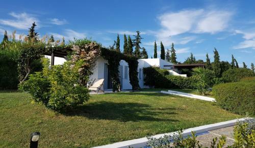 Bansala Villas