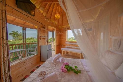 Zante Lagos Holiday Homes Treehouse And Villa
