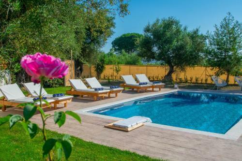 Zante Lagos Holiday Homes Treehouse And Villa