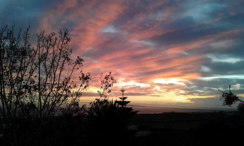 Apartamento Villa Bloom