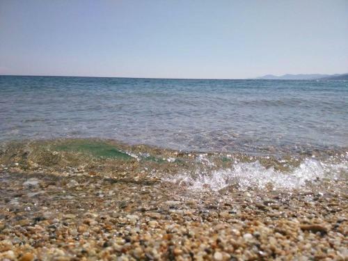Villa Dimitris Apartments & Bungalows