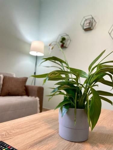 The Breeze & Sunlight Apartment