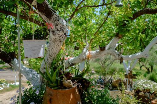 Traditional Family Cretan Home!