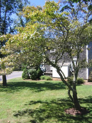 Apartamento Edgartown Commons