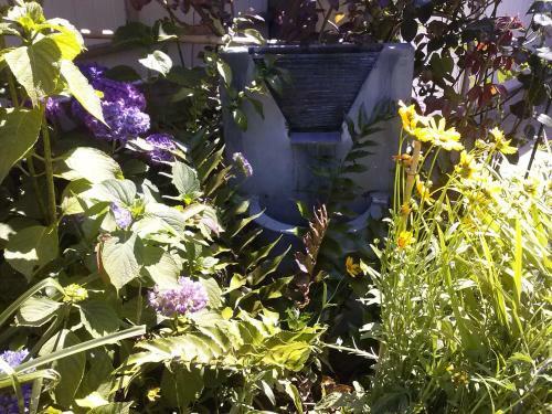 Bed & Breakfast Cap Ouest