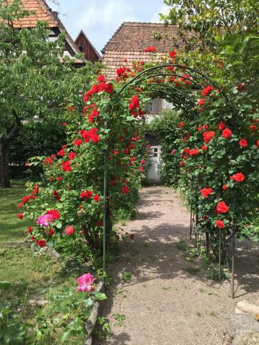 Apartamento Gites La Cour Zaepffel