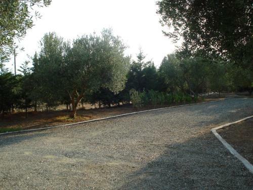 Amazing Country House At An Olive Grove