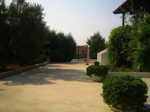 Amazing Country House At An Olive Grove