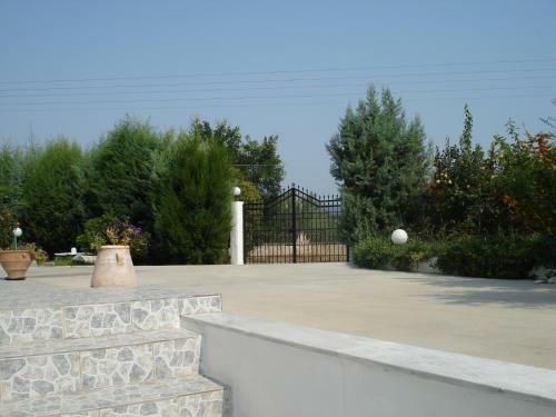 Amazing Country House At An Olive Grove