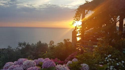 Sunriseview Suite And Gallery