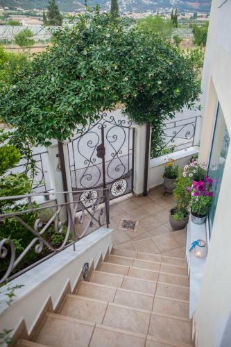 Villa Dina's House
