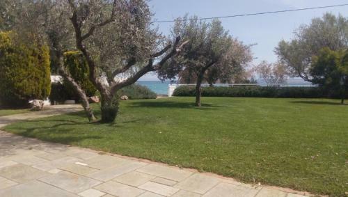 V.k.seaside Villa