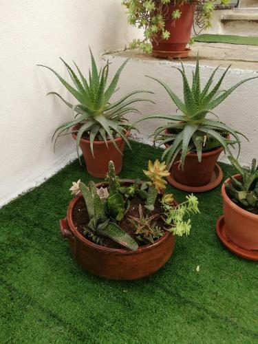 Apartamento Relaxing Home!