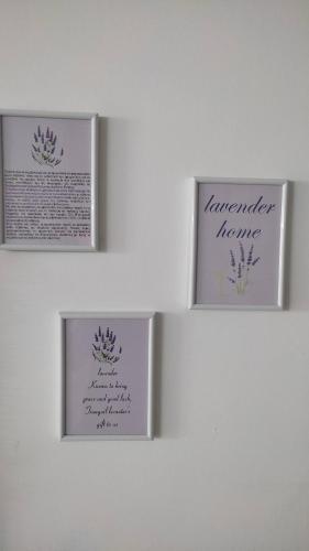 Apartamento Lavender Home