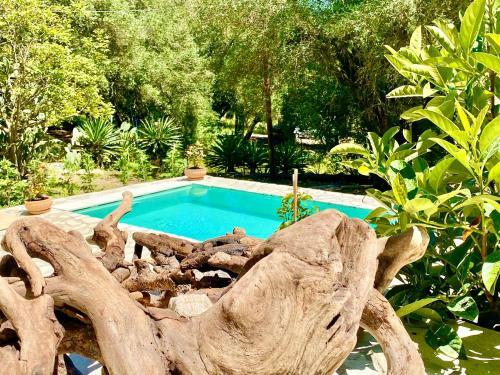 Villa Eva Agni With Private Pool