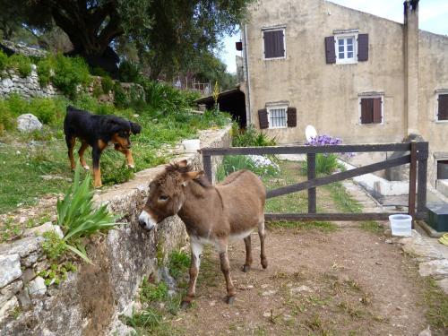 Tsoupis Farm House