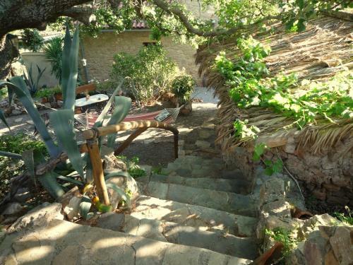 Wellanidia Cottage Skoutari