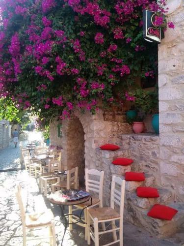 Wellanidia Cottage Skoutari