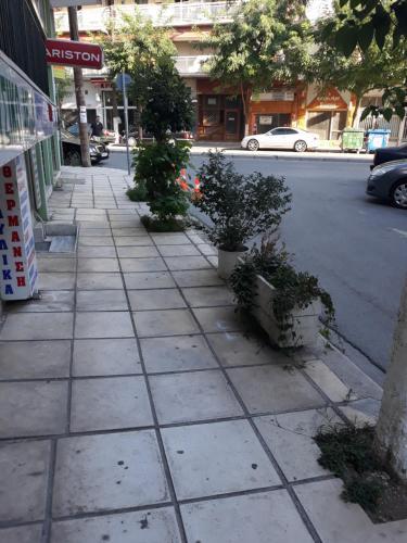 Kosta's Apartment 1