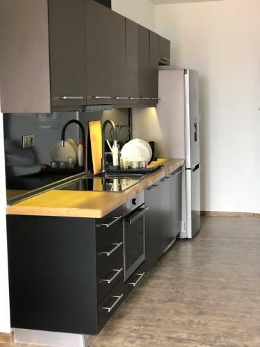 Luxury Apartment