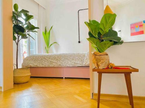 Downtown Boutique Apartment