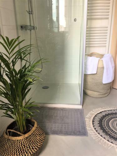 Downtown Boutique Apartment