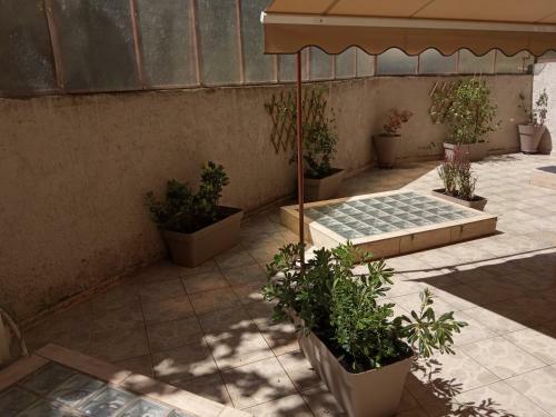 Apartamento City Center Garden House